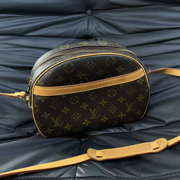 Pre-owned Louis Vuitton Monogram Camera Bag