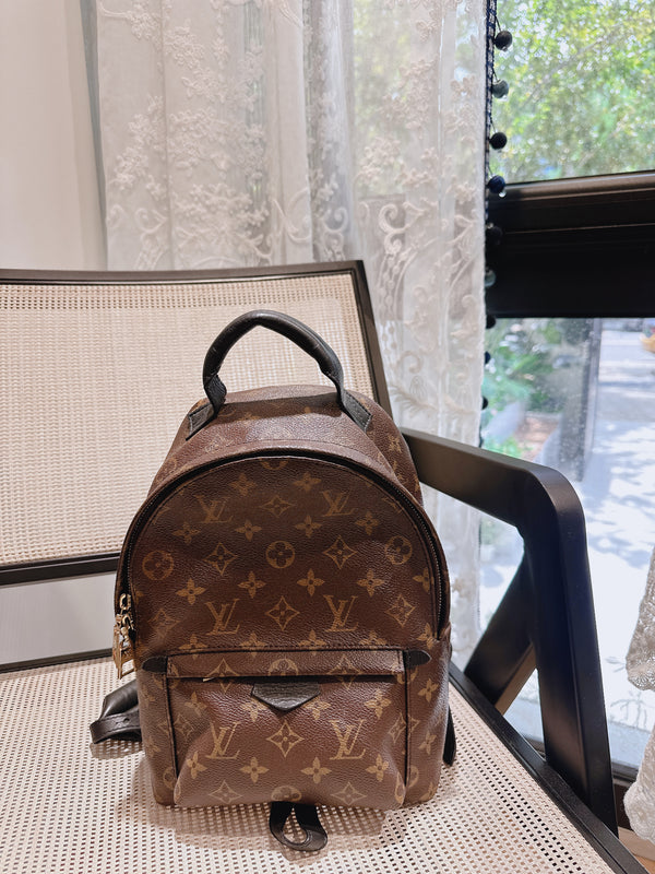 Pre-owned Louis Vuitton Palm Springs Backpack Monogram Canvas PM